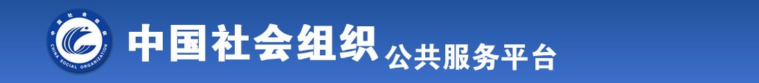 美女骚屄全国社会组织信息查询